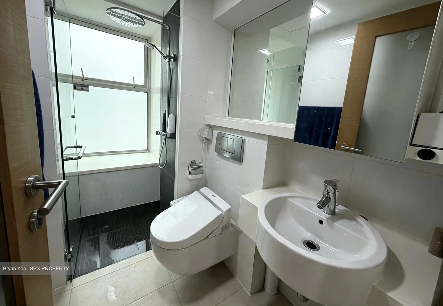 Parc Emily (D9), Condominium #603591491